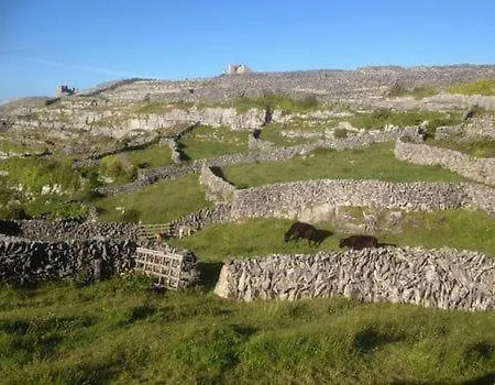 Drimneen Moycullen